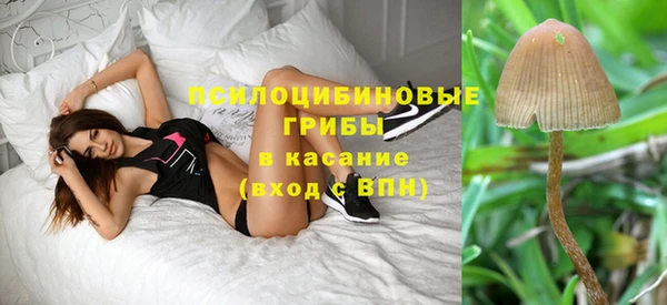 экстази Ельня