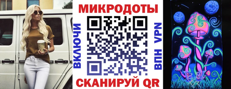Купить закладки  Павловск  Псилоцибиновые грибы ЛСД 